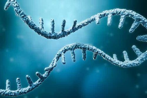 Bắt đầu thử nghiệm ở người vaccine ngừa HIV sử dụng công nghệ mRNA