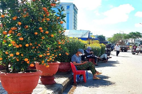 Chợ hoa những ngày giáp Tết: Trăm người bán, lác đác người mua