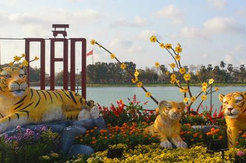 Chùm ảnh: Người dân ở Huế thích thú check in bên linh vật năm Nhâm Dần