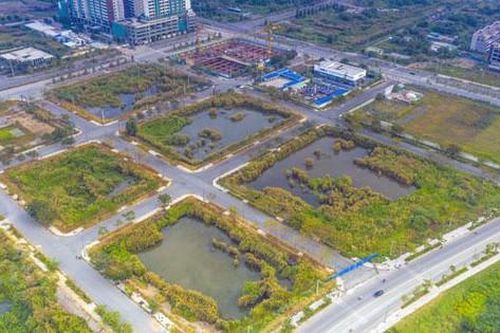 Rà soát, gỡ vướng về đất đai trong kết luận thanh tra tại một số địa phương