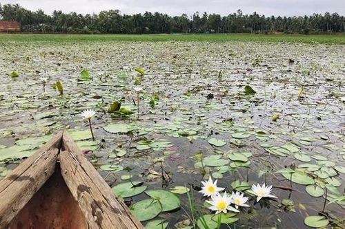 Đầm Bàu trong vẻ giản dị nguyên sơ