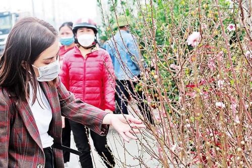 Bắc Giang ra văn bản ngày cận Tết, người về quê từ 62 tỉnh thành nức lòng