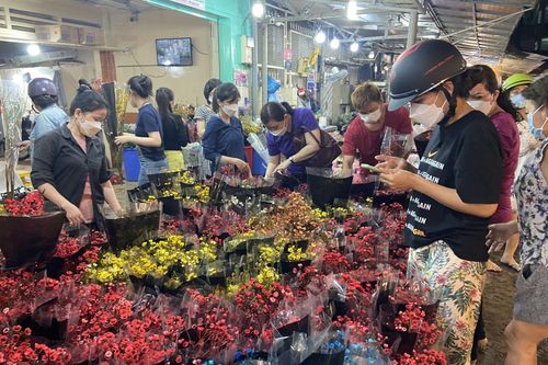 Nhộn nhịp không khí bán, mua tại chợ hoa Tết lớn nhất TP Hồ Chí Minh