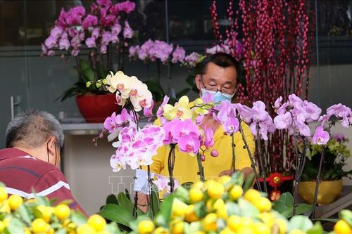 Người dân Singapore sắm Tết trong cơn 'bão giá'