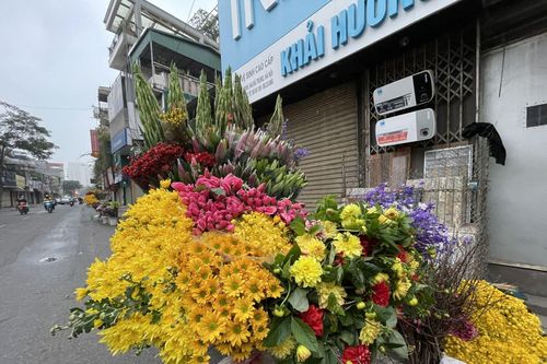 Ngày cận Tết, giá nhiều loại hoa tươi đắt gần gấp đôi