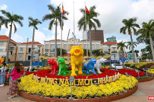 Lý giải chuyện 'hổ ngũ sắc' trên đường hoa xuân Nhâm Dần ở Đà Nẵng