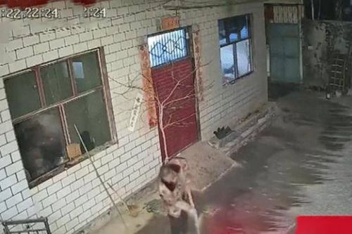 Báo với bố mẹ ngày về quê ăn Tết, con trai mở camera trước nhà ra xem thì nghẹn ngào khi thấy cảnh này