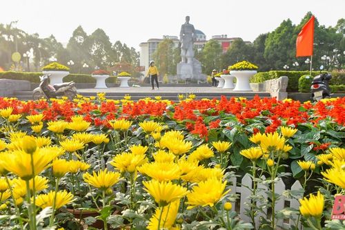 Thành phố Thanh Hóa rực rỡ cờ hoa mừng Đảng, mừng xuân
