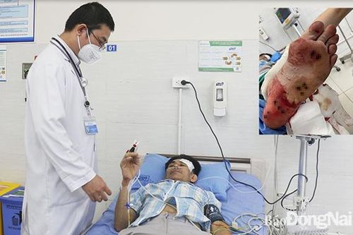 Cứu bệnh nhân bị ngộ độc chất gây tê hiếm gặp