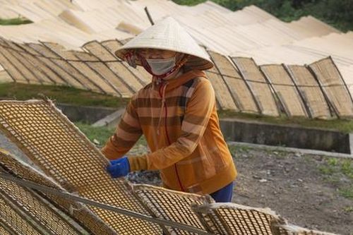 Làng nghề bánh tráng trăm tuổi tất bật vụ Tết