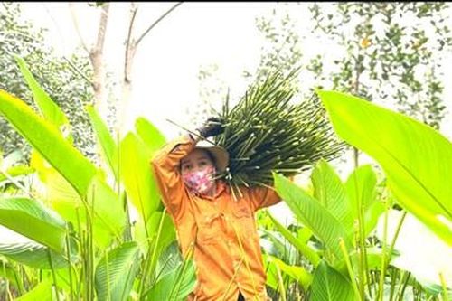 Làng 'Ngọc xanh' 400 tuổi danh tiếng Hà thành ngày cận Tết