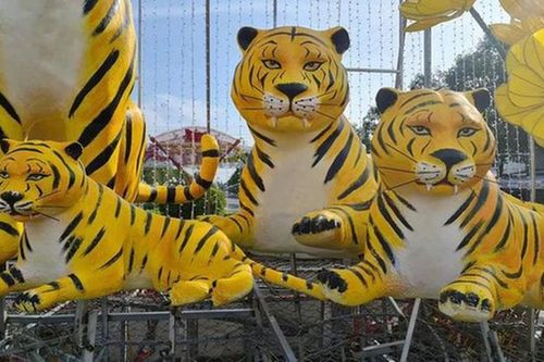 Biểu cảm dễ thương của những chú hổ linh vật đến từ Tây Nguyên