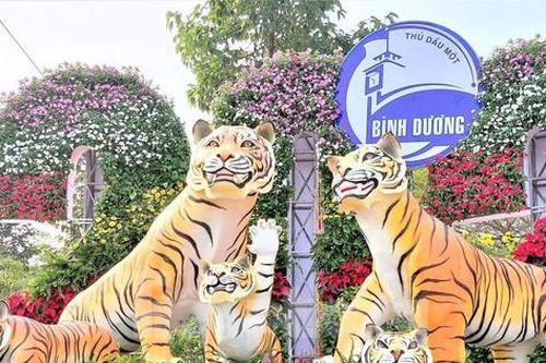Thích thú với 'gia đình hổ' được khắc họa trên đường hoa xuân tại Bình Dương