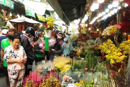 Đào Nhật Tân mini 200.000 đồng/cành đắt như tôm tươi