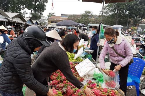 Hoa quả phục vụ Tết tăng mạnh