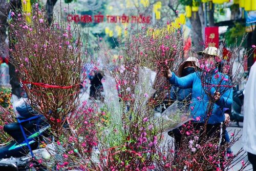 Tết thời Covid-19