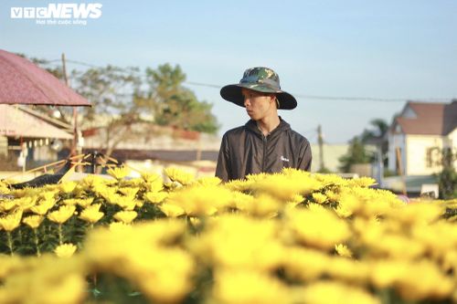 Hoa, cây cảnh Tết giảm giá mạnh vẫn ế ẩm, tiểu thương lo lắng ngóng khách mua
