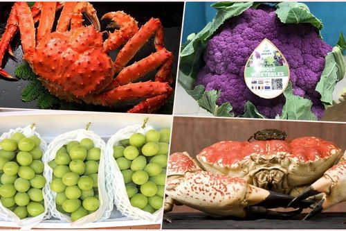 Đặc sản đi máy bay về Việt Nam phục vụ giới nhà giàu ăn Tết