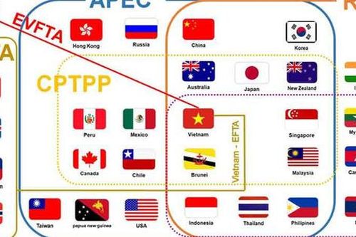 Ngoại giao kinh tế: Tận dụng tối đa thành tựu chuyển đổi số phục vụ phát triển đất nước