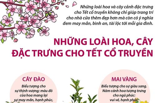 Những loài hoa, cây đặc trưng cho Tết cổ truyền