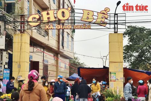 Phiên chợ Tết có lịch sử 700 năm ở Nam Định không ai muốn lỡ