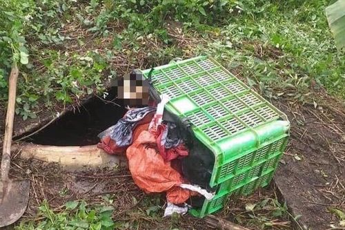 Đi đòi nợ ngày cận Tết, chủ nợ bị con nợ sát hại, giấu thi thể dưới hầm biogas