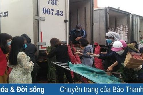 Những xe chở hoa lay ơn cuối năm hút khách mua