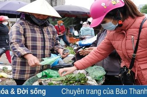 Giá cau, trầu tăng cao vẫn hút khách