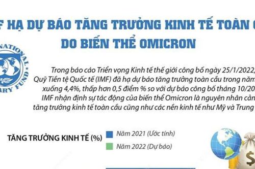 IMF hạ dự báo tăng trưởng kinh tế toàn cầu năm 2022