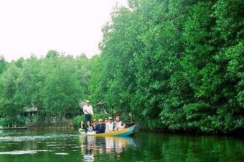 Cần Giờ… giờ cần gì?