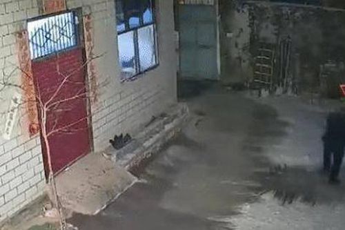 Trên đường về quê ăn Tết, con trai mở xem camera ở nhà thì lặng người vì hành động của bố