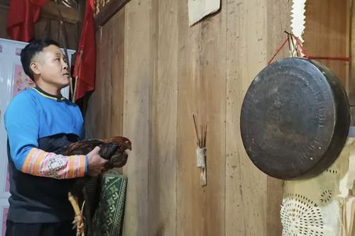 Phong tục ăn Tết con gà độc đáo của người Mông