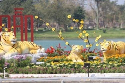 Những năm Dần đáng nhớ trong lịch sử dân tộc Việt Nam