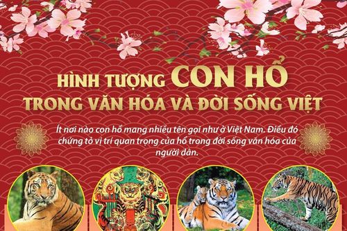 Hình tượng con hổ trong văn hóa và đời sống Việt