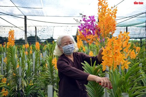 Những người 'làm đẹp' cho ngày Tết