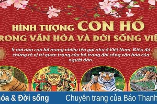 Hình tượng con hổ trong văn hóa và đời sống Việt