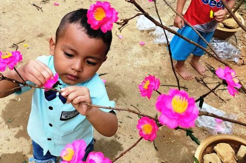 Mang niềm vui đến đại ngàn...