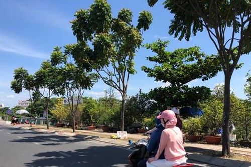 Nam thanh niên tử vong bất thường trên đại lộ Phạm Văn Đồng, TP Thủ Đức
