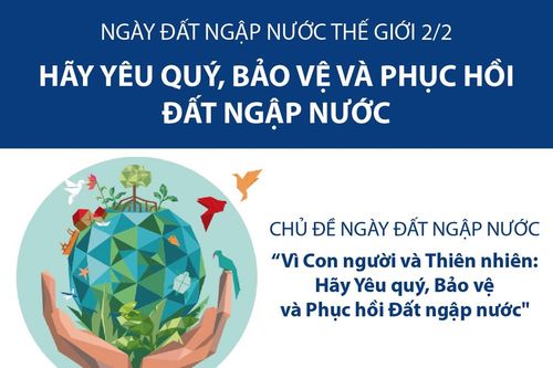 Ngày Đất ngập nước Thế giới 2/2: Hãy yêu quý, bảo vệ và phục hồi đất ngập nước