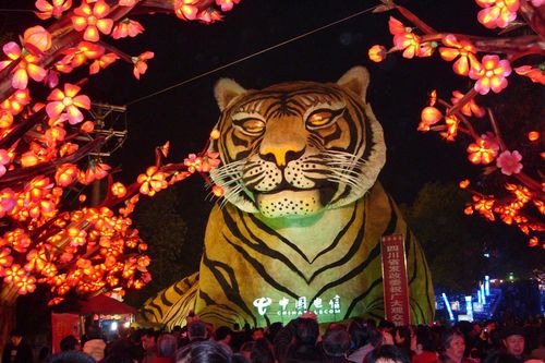 Hình tượng 'Chúa sơn lâm' trong văn hóa châu Á