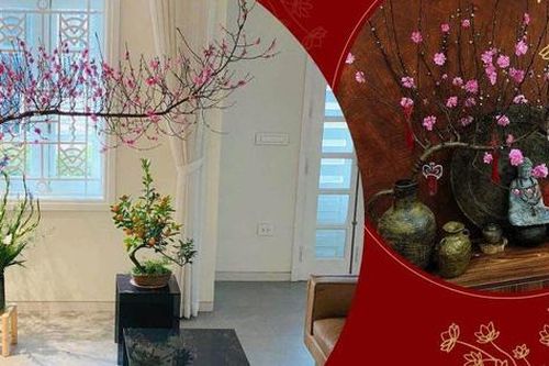 Bỏ qua hoa ngoại nhập, mẹ Việt mua đào trước Tết 20 ngày, Tết mê mẩn ngắm từng cái nụ