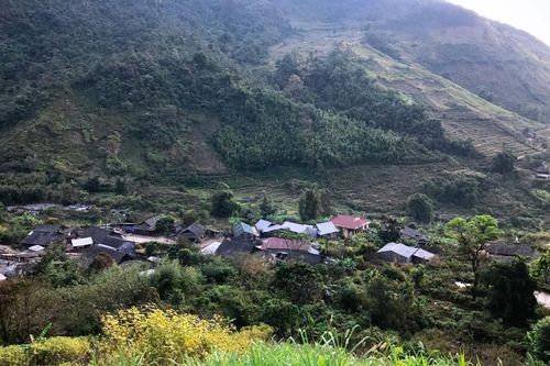 Xanh ngát màu Pu Ta Leng