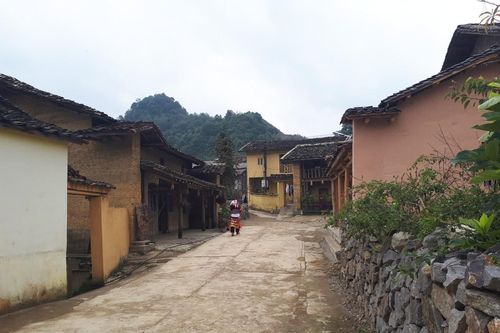Thú vị Lô Lô Chải
