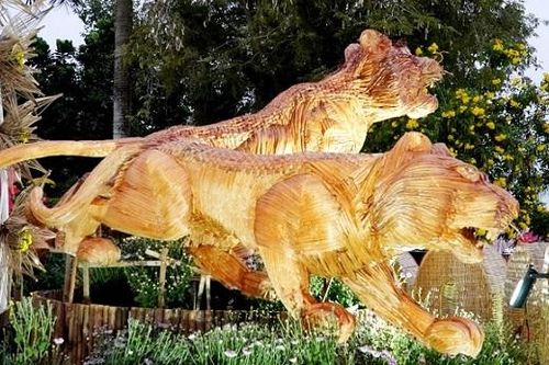 'Hổ thân thiện' thu hút khách du lịch tại miền Tây