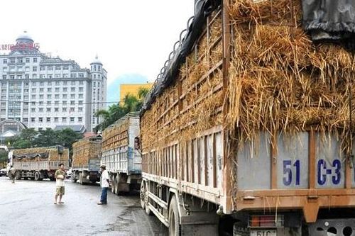 Xuất khẩu nông sản sang Trung Quốc 2022: Cần thích ứng và vượt rào cản mới