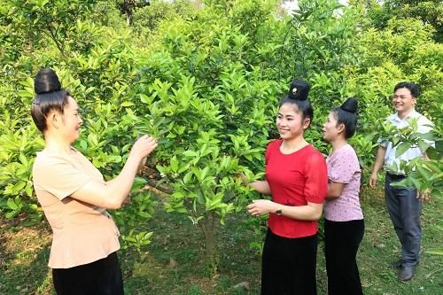 Khởi sắc vùng biên giới Sốp Cộp