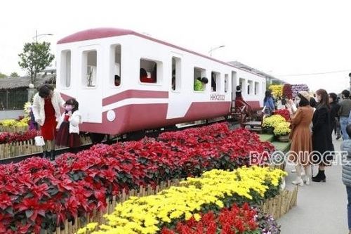 Rực rỡ Đường hoa Xuân Hà Nội Tết Nhâm Dần