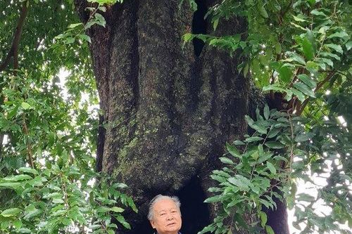 Kỳ lạ làng thị trăm tuổi là 'ân nhân' nhiều đời của người dân