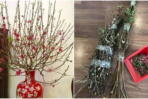 Cách xử lý những cành đào cồng kềnh khi hết Tết