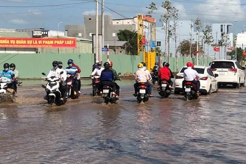 Bạc Liêu: Mùng 5 Tết, triều cường 'ngăn' người dân du xuân